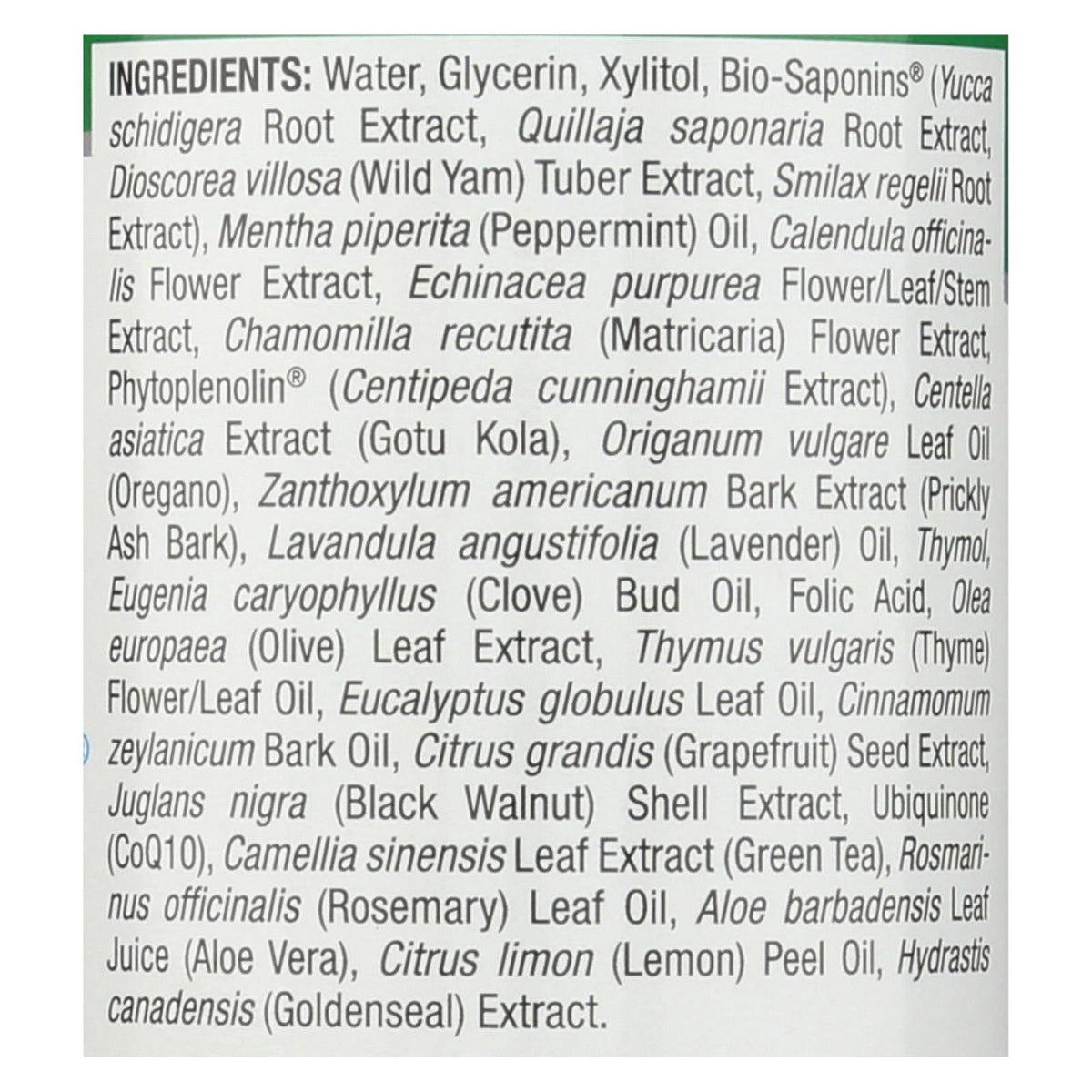 Nature's Answer Cool Mint Alcohol-Free Mouthwash 16 Fl Oz