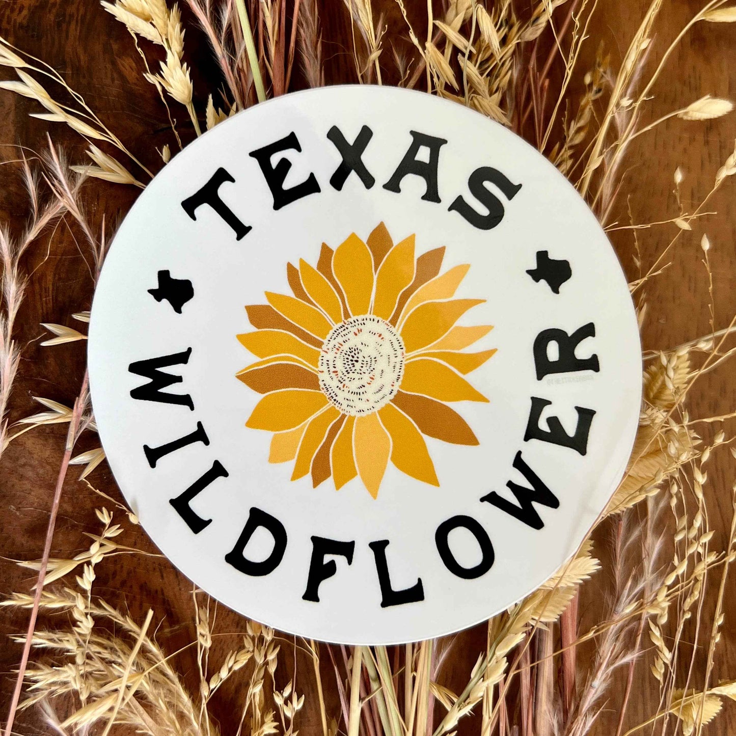 Texas Stickers Waterproof