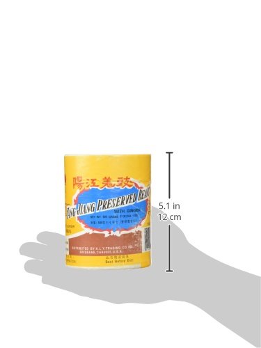 Yang Jiang Preserved Black Beans with Ginger, 16 oz - Savory Flavor, Perfect for Cooking and Snacking