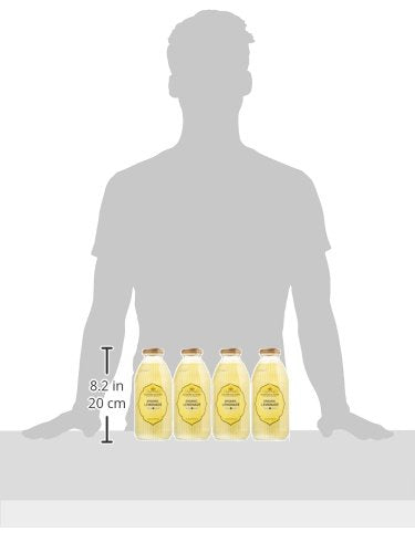 Harney & Sons Juice Organic Lemonade 16 Ounce (Pack of 12)