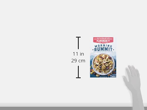 General Mills Morning Summit Cereal, Maple Berry, 38 Oz - Nutritious Breakfast Choice, Pack of 1
