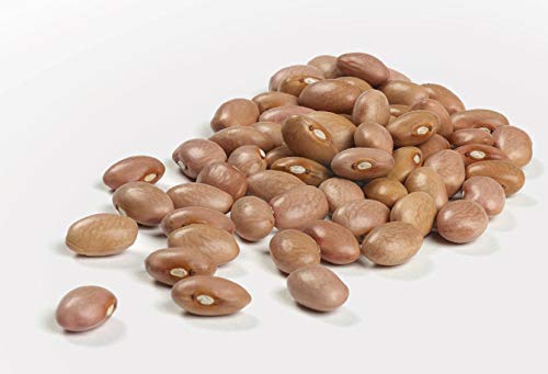 Camellia Brand Dried Pink Beans, 1 Pound (Pack Of 6)