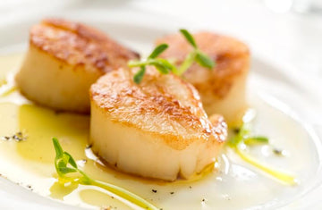 New York Steak & Seafood Jumbo Scallops - Frozen Sea Scallops - Wild Caught Fresh Dry Scallops Without Water Added (10 Lbs. Scal