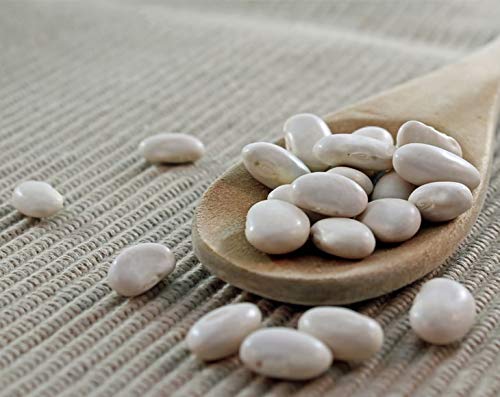 Food To Live Organic Great Northern Beans, 2 Pounds - Dried, Non-Gmo, Kosher, Raw, Sproutable, Bulk Seeds, Product Of The Usa
