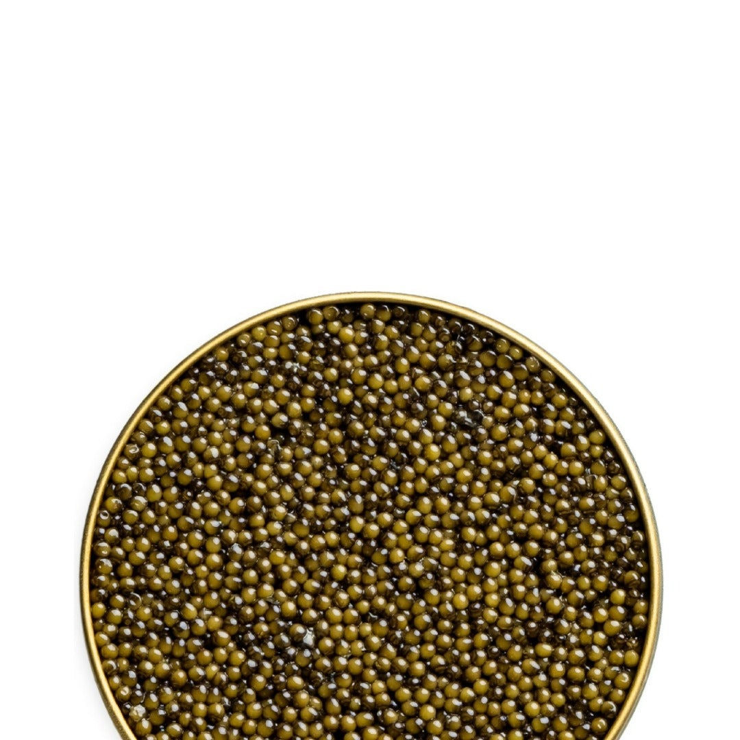 Osetra Reserve 250 g (8.8 oz)