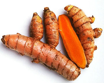 Fresh Wild Turmeric & Ginger Combo 1Lb Each By Nine Shani (5Lb)