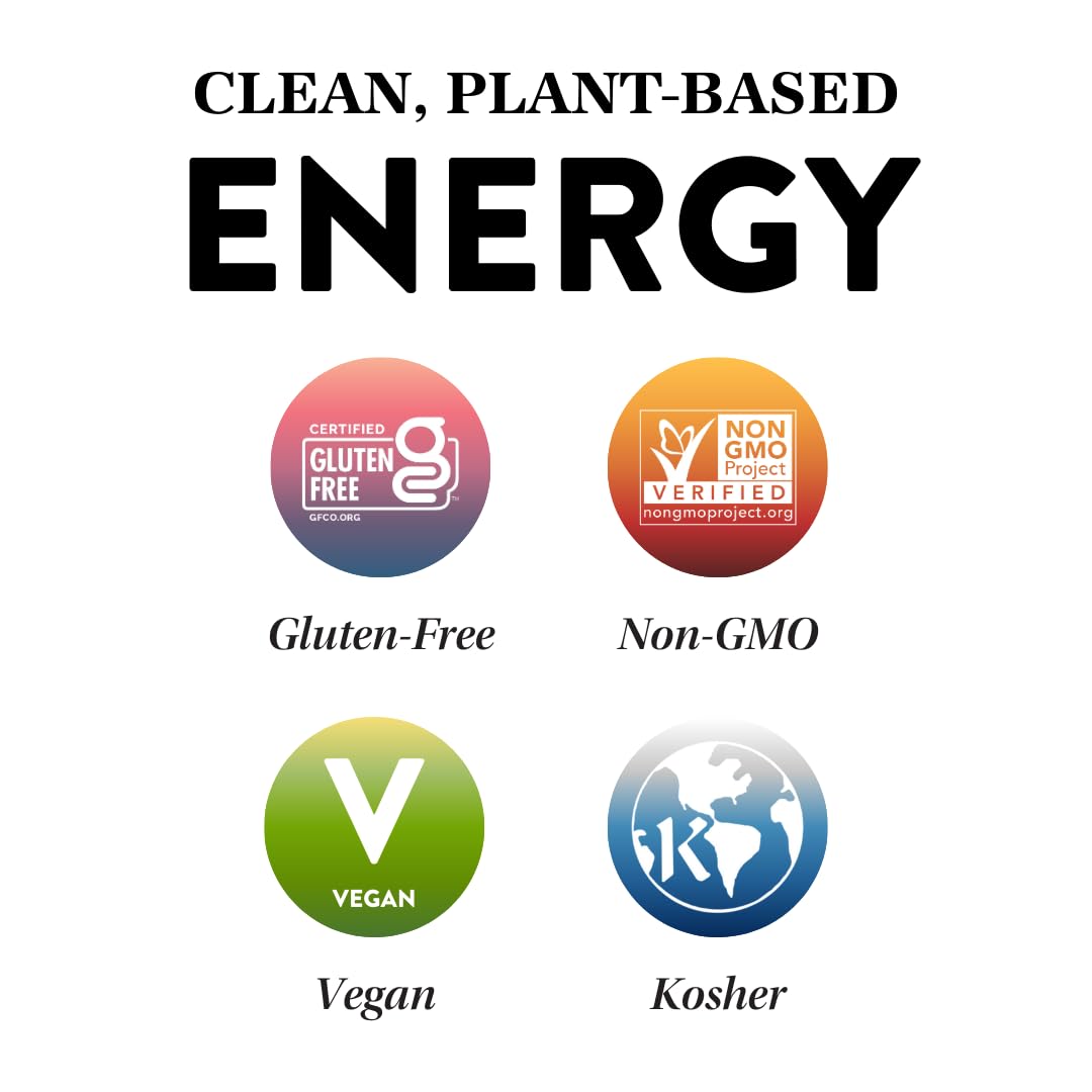 Protein Puck Plant Based Bars | Snacks With Vegan Protein | 16 Count | 3.25 Oz Full Size | Gluten Free, Non Dairy, Kosher Certified Non Gmo Enhanced Healthy Bars | Variety Pack