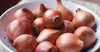 Generic Fresh Shallots, USA Grown, Non-GMO, Allium schoenoprasum (Sweet Onion), Bulk (2 Pounds)