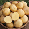 Generic Yukon Gold Fresh Yellow Potatoes, USA GROWN, NON-GMO, Bulk (2 Pounds)