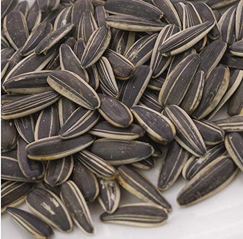 Chacha Roasted Sunflower Seeds - Plain (250G)