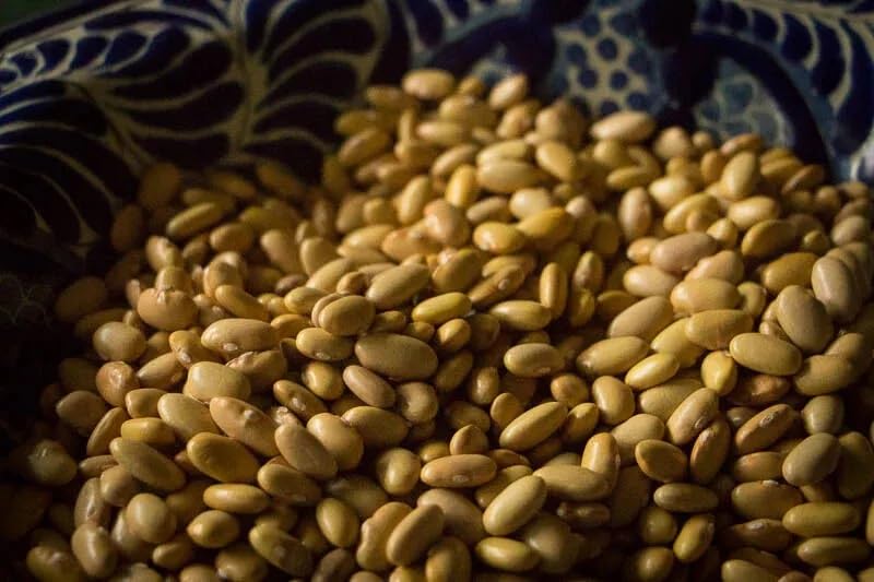 Mayocoba Peruano Dry Beans Frijoles | Bulk (2 Pounds)
