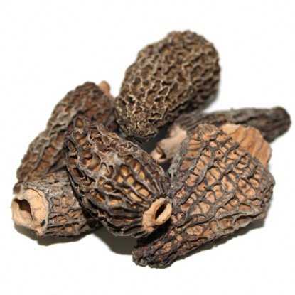 Dried Morels Mushrooms - 1 oz. Life Gourmet Shop