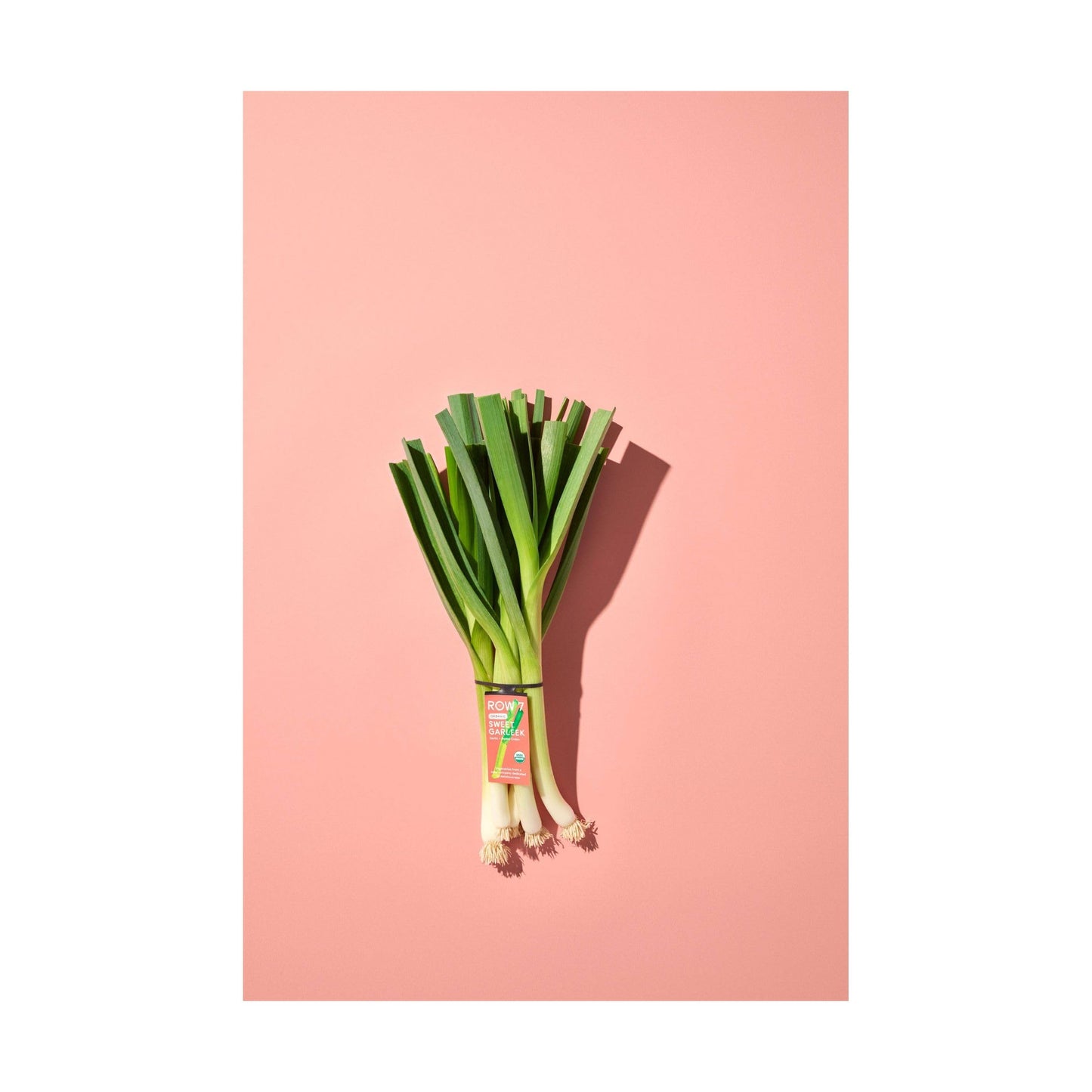 Row 7 Organic Sweet Garleek Bunch, 1 Ea