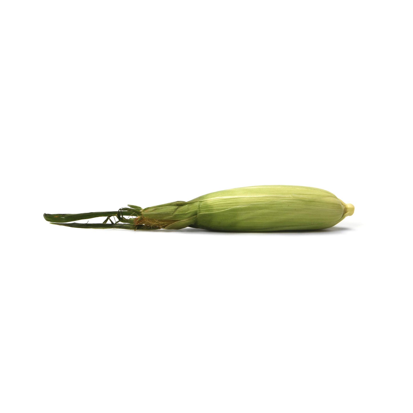 Bi-Color Corn