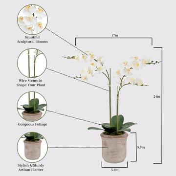 Cg Hunter Faux White Orchid Plant, Premium Artificial Indoor Flower Display Stands 24 , Beautiful Sculptural Blooms That Lasts