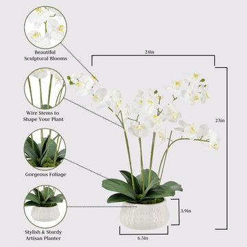 Cg Hunter Faux White Orchid Plant, Premium Artificial Indoor Flower Display Stands 23 , Beautiful Sculptural Blooms That Lasts