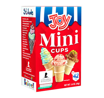 Joy Mini cups Miniature Ice cream cones For Kids Desserts cupcake cones cake Pops 42 count (1 Box42 cones)