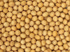 Premium Non-GMO Soybeans - 3 Lbs - Perfect for Soy Milk, Tofu, Natto - 100% Product of USA (Newest Crop)