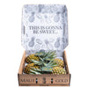 Maui Gold Pineapple - 4 Fresh Picked Pineapples