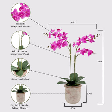 Cg Hunter Faux Pink Orchid Plant, Premium Artificial Indoor Flower Display Stands 24 , Beautiful Sculptural Blooms That Lasts