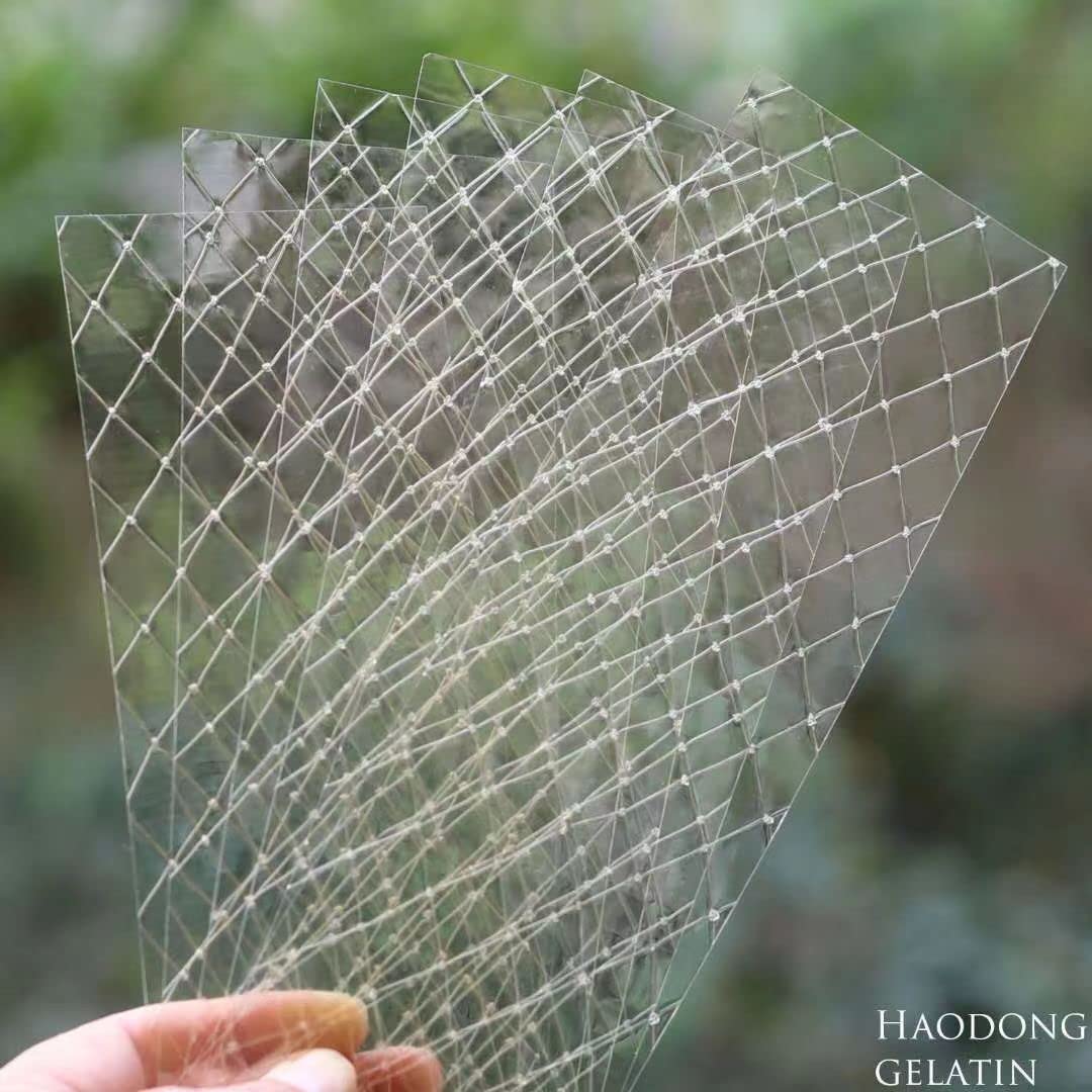 HAODONG Gold Gelatin Sheets - Beef Leaf Gelatin 200 Bloom (40g, 18-20Sheets) for Baking Desserts Mirror Glaze Mousse Cake