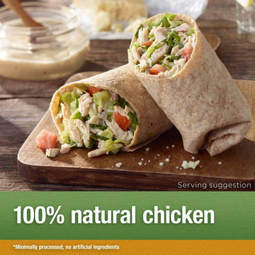 VALLEY FRESH Chicken Breast in Water with Rib Meat, 10 Ounce (Pack of 12)