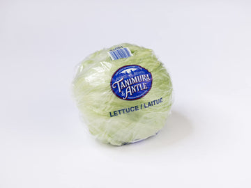 Iceberg Lettuce, 1 Head
