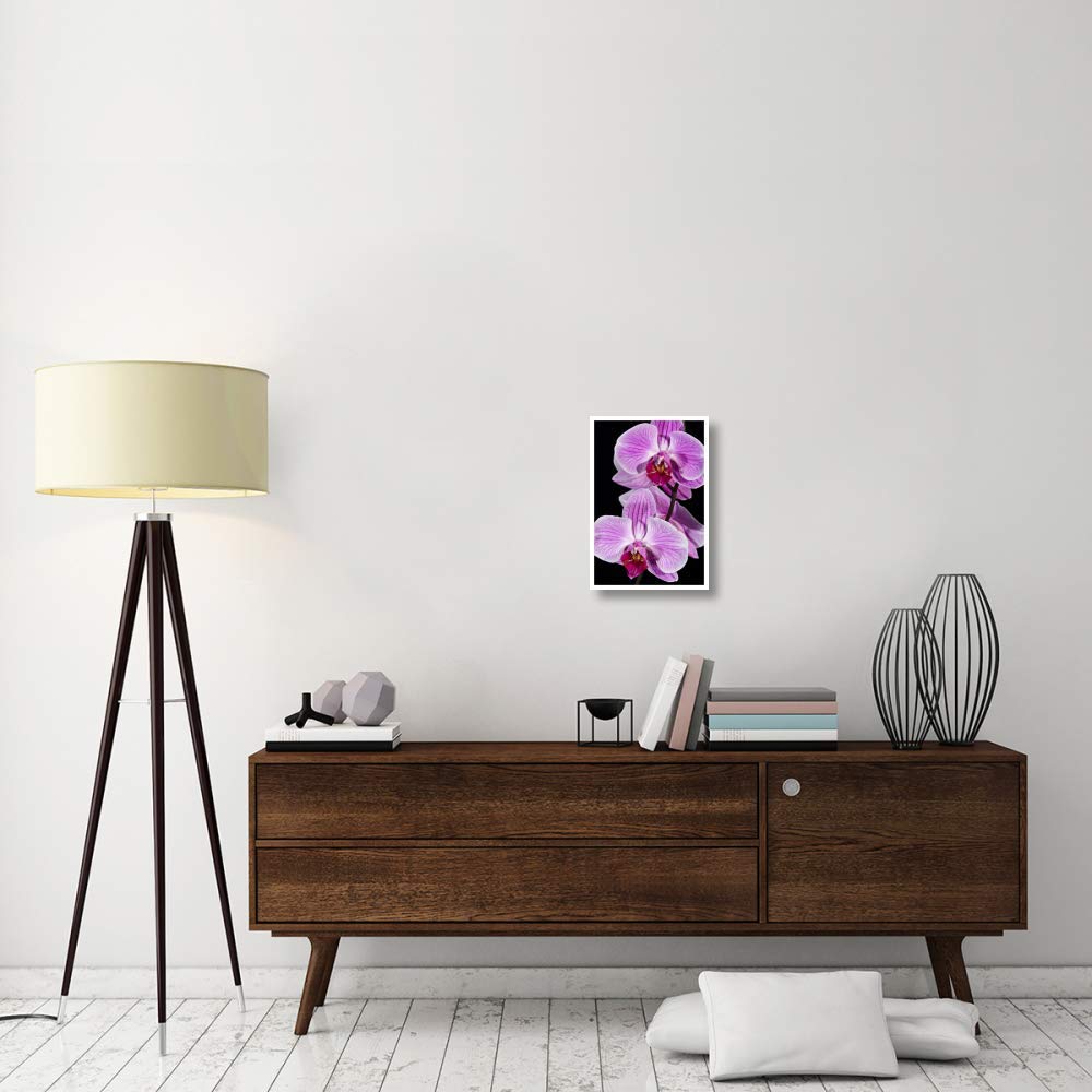 Orchid Flowering, Beveren-Waas, Belgium-Paper Art-14''X20''