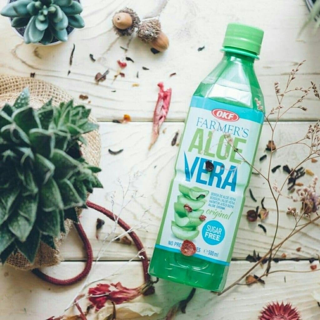 Aloe Vera King (Sugar Free) - 16.9 Fl Oz (Pack Of 10)