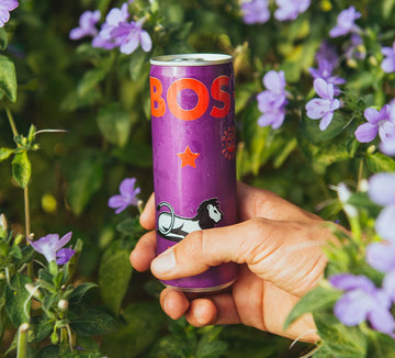 BOS Rooibos Iced Tea Berry - Organic, Caffeine Free, Antioxidant-Rich, 24x (6x 10.1 oz Cans)