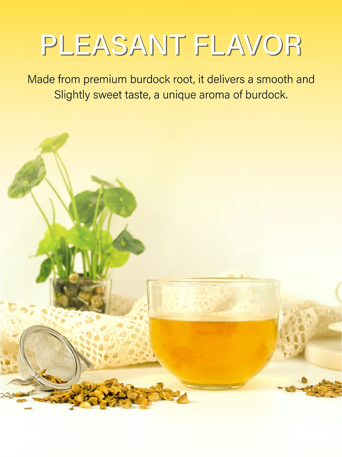 TeeLux Burdock Root Tea, Cut & Sifted, Caffeine Free, 16oz Loose Leaf Herbal Tea