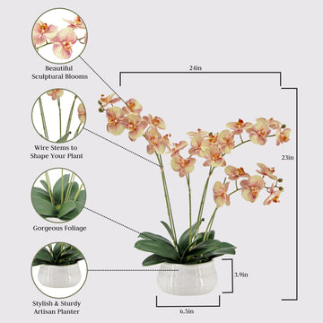 Cg Hunter Faux Orange Orchid Plant, Premium Artificial Indoor Flower Display Stands 23 , Beautiful Sculptural Blooms That Last