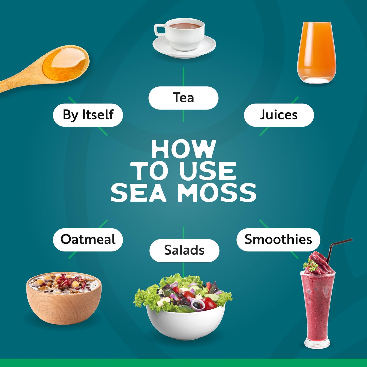 Herbal Vineyards Wildcrafted Irish Gold Sea Moss Gel - Made With Dried Seaweed & Fresh Sea Vegetables, Seamoss - Made In Usa