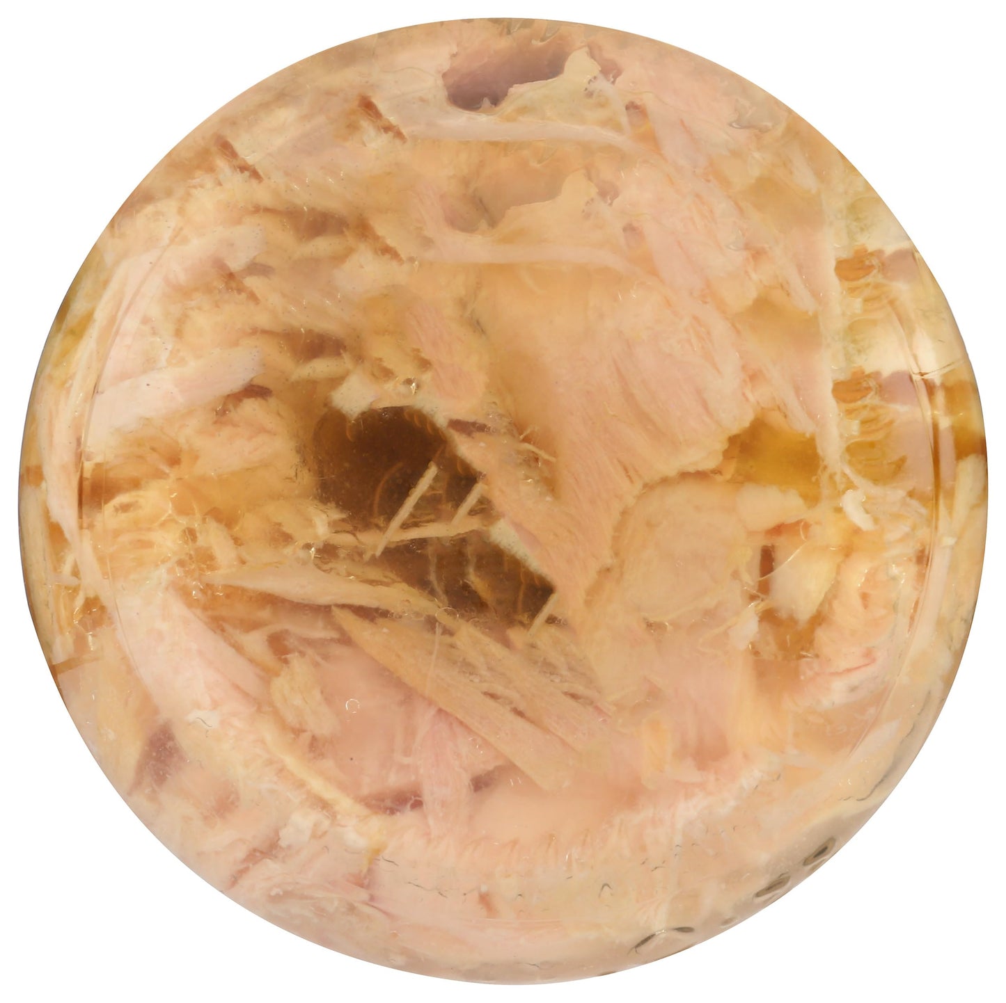 Tuna Fish (Pack of 1, Truffle Infused Olive Oil)