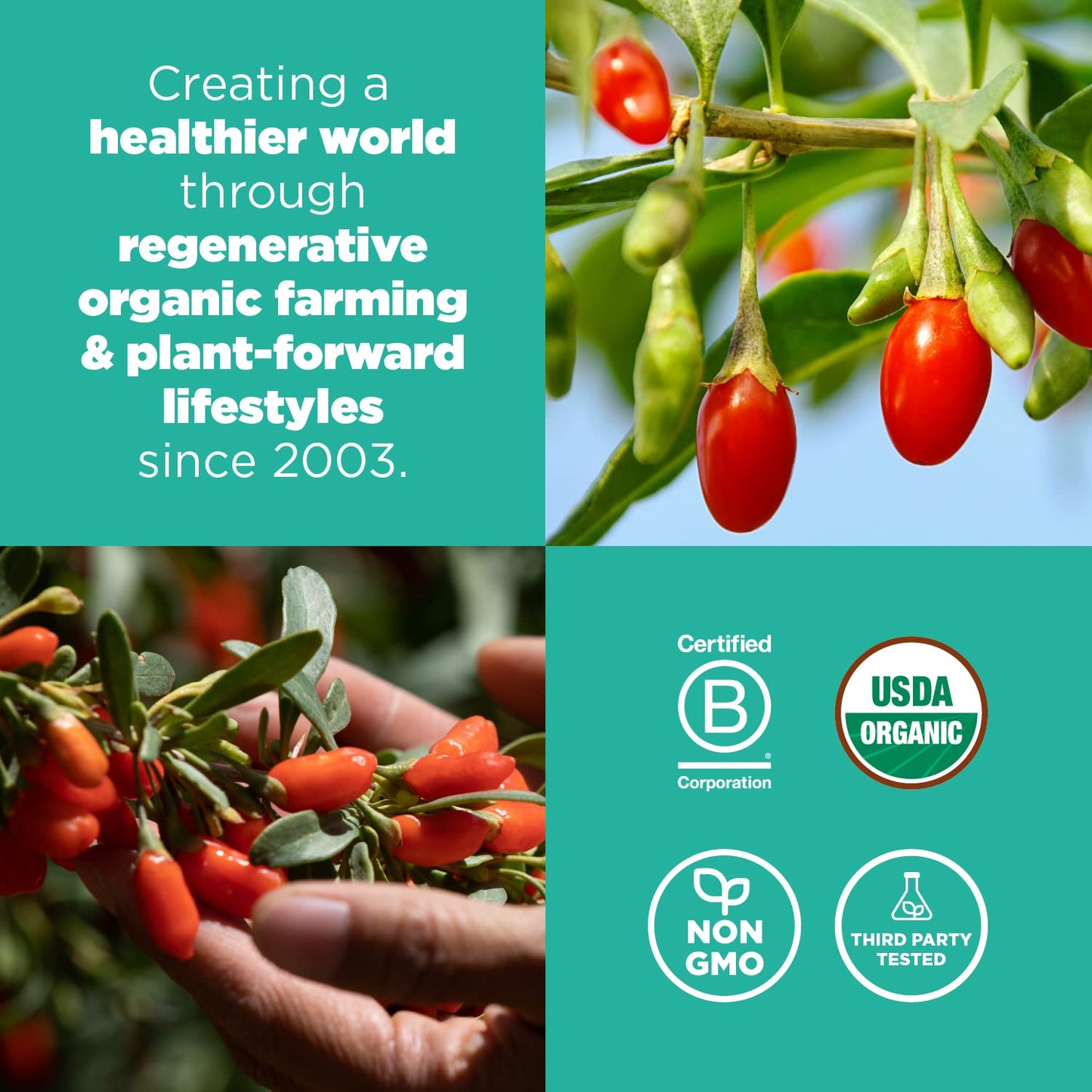 Navitas Organics Goji Berries, 8 Oz. Bag, 8 Servings — Organic, Non-Gmo, Sun-Dried, Sulfite-Free