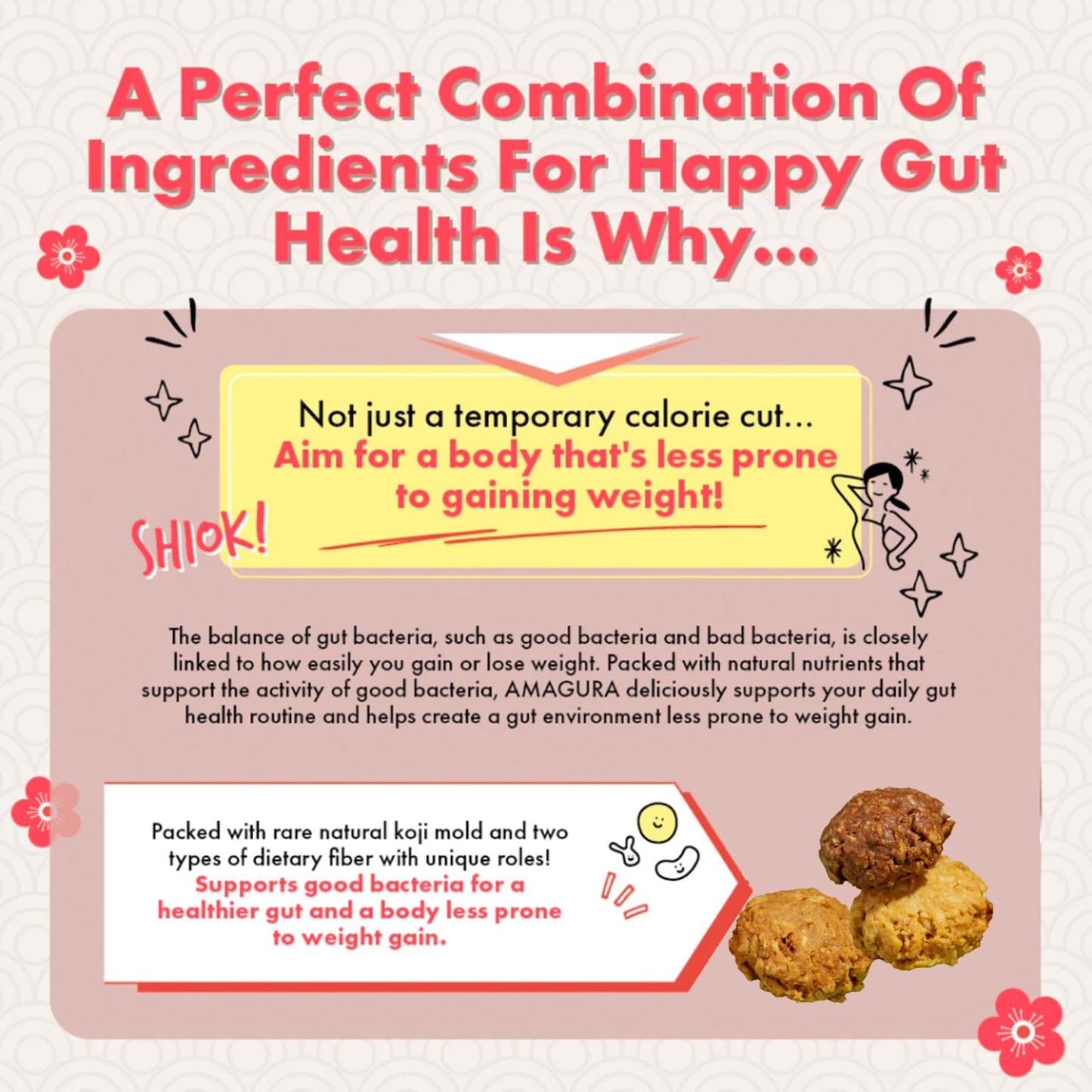 AMAGURA Amazake Japanese Oatmeal Cookies 7oz | Natural Healthy Cookies, Probiotics, Gut Health, Gluten Free, Sugar Free, Rich Nu