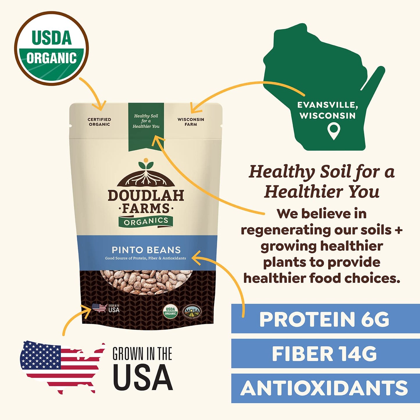 Organic Dried Pinto Beans 1lb Bulk by Doudlah Farms - Farmed From Regenerative Soil | Tested Clean Certified | Vegan, Non-GMO, G