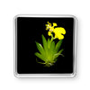 Bloomify Live Dancing Orchid Picture, Maintenance Free Orchid, Psygmorchis Pusilla, Live Green Wall D cor, Blooming, No Green T