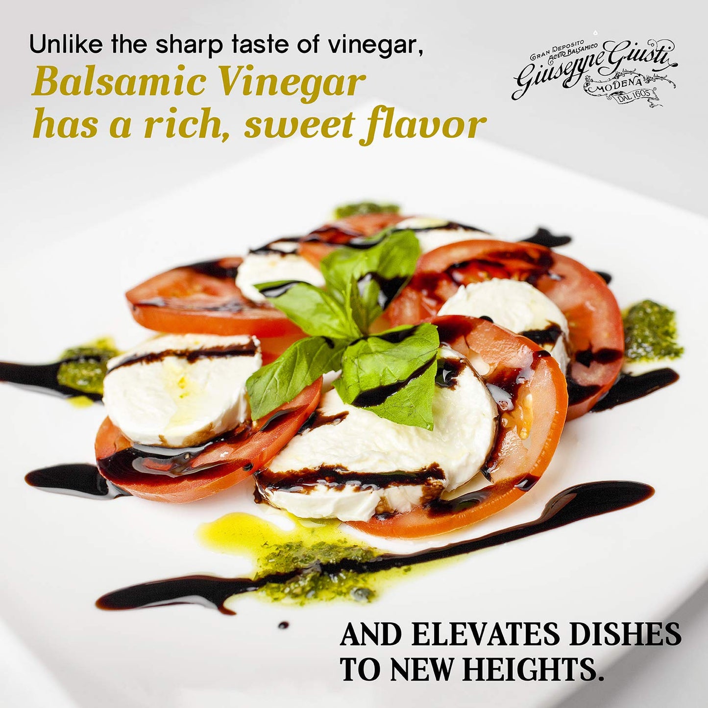 Giusti Balsamic Vinegar of Modena IGP, Matured & Thick, 8.45 Fl Oz, Black
