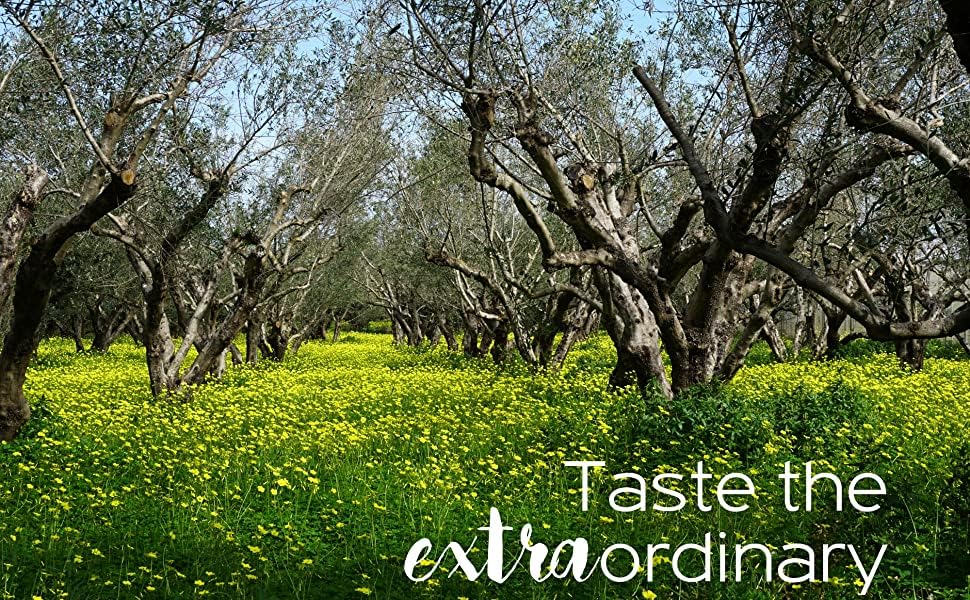 Terra Creta, 100% Koroneiki Variety, Estate Greek Extra Virgin Olive Oil, 3 Ltr (101 Fl.oz) Tin