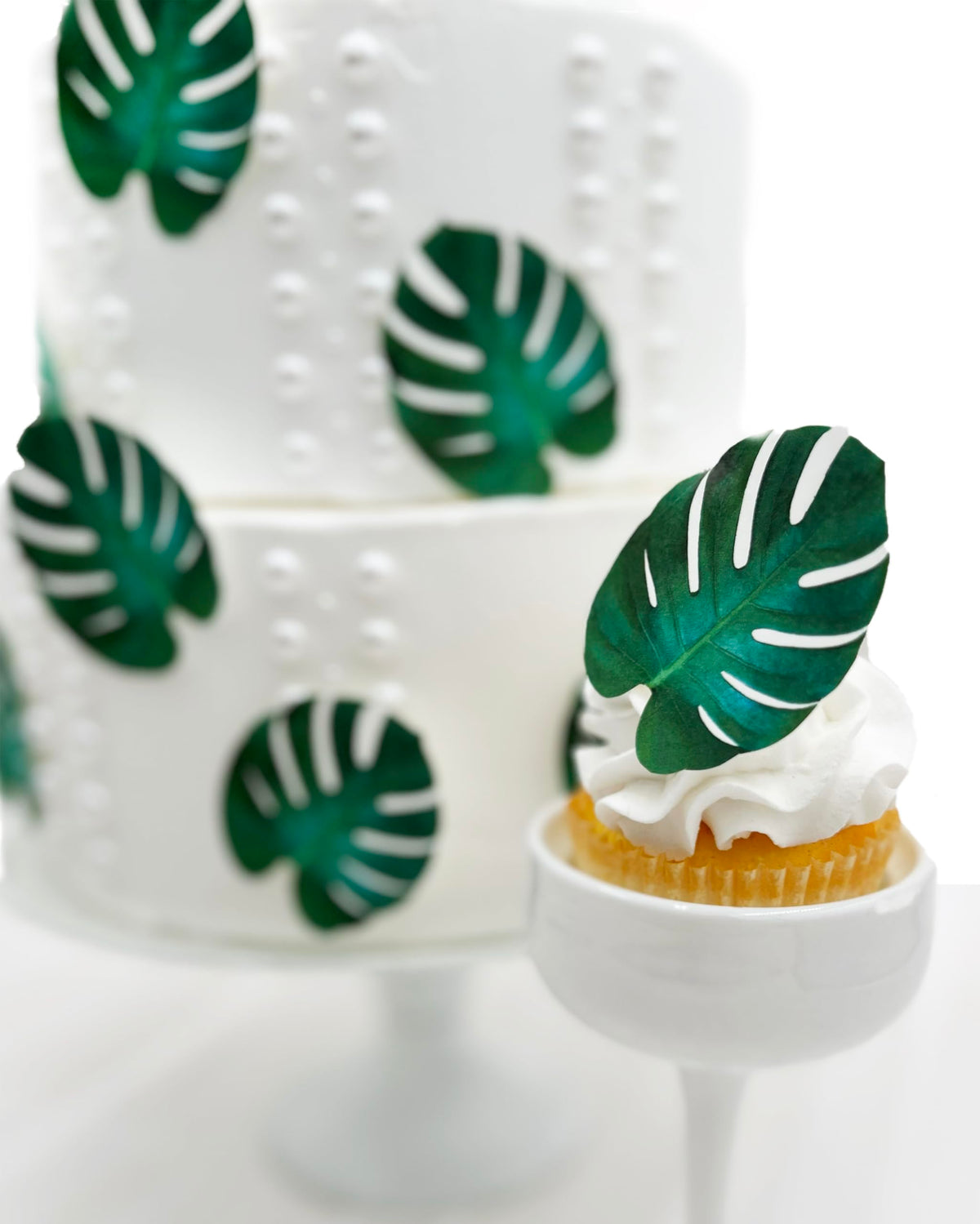 Sugar Robot - Edible Monstera Leaves Decor - Small Size - Edible Leaves For Cake Decorating - Top-Grade Crafted - Made In The Usa Cake -Set Of 24 (Monstera Leaf)