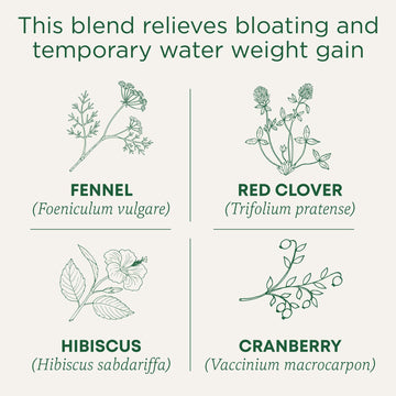 Traditional Medicinals Tea, Organic Weightless, Relieves Temporary Water Weight Gain, Cranberry, 16 Tea Bags