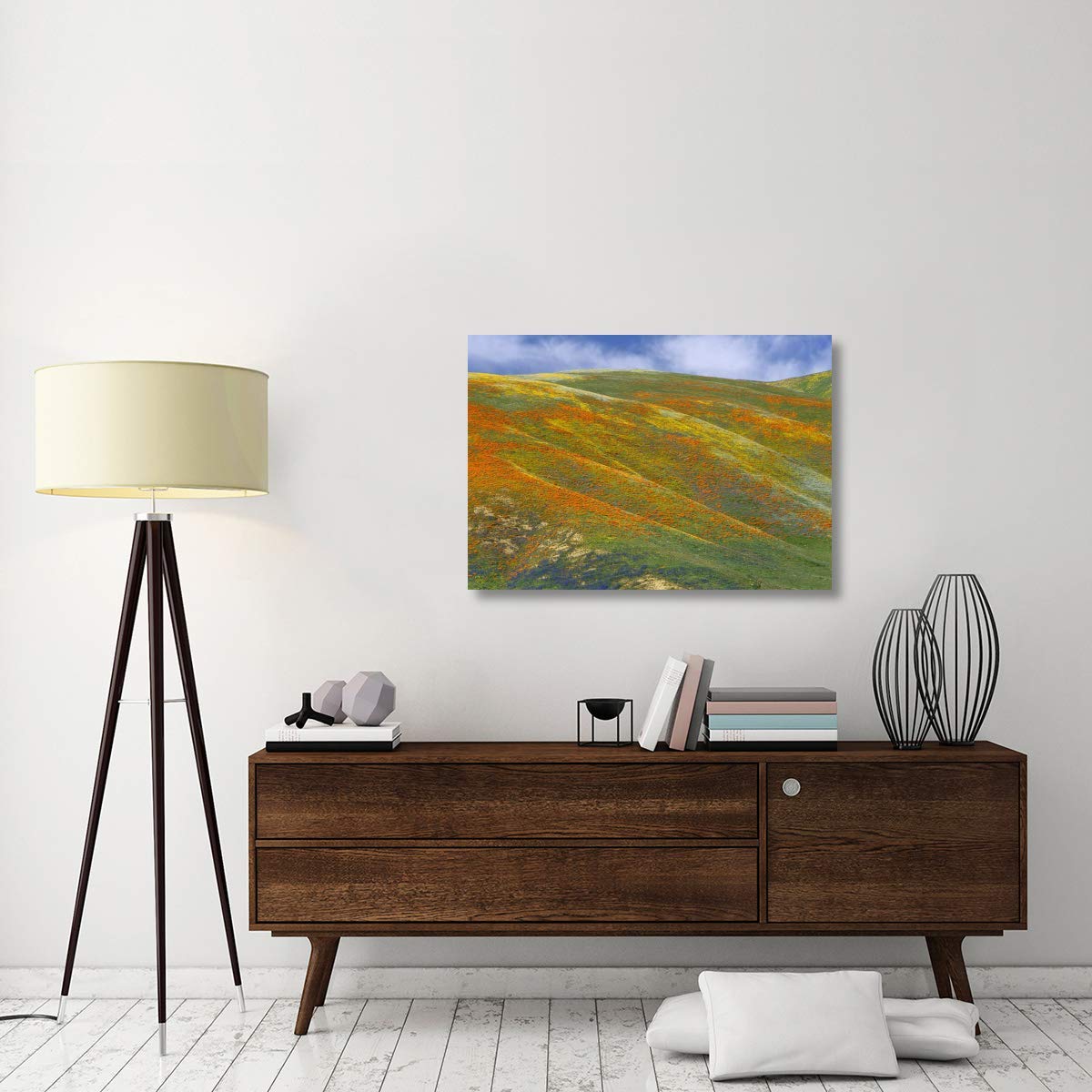 California Poppy Covered Hillside, Spring, Tehachapi Hills Near Gorman, California-Canvas Art-40''X28''