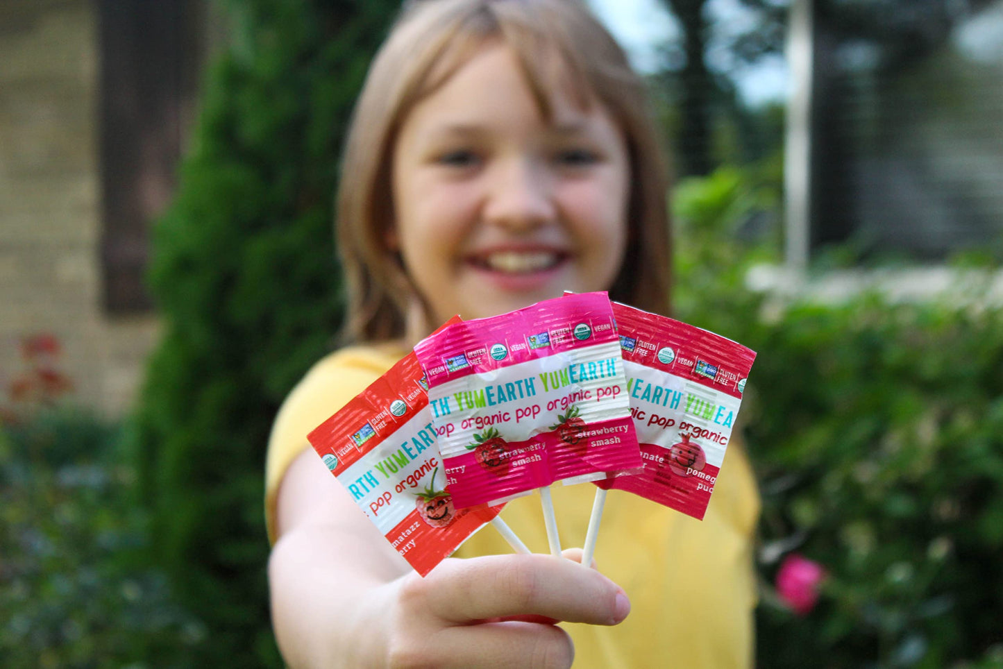 Lollipops, 95% Organic, Fruit, 20+, 4.2 Oz (Pack Of 12 )