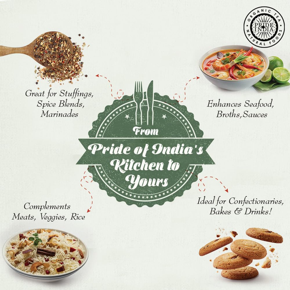 Pride Of India Fennel Seed Whole Gourmet Spice - Fresh & Aromatic - 8 oz Medium Dual Sifter Jar - GMO/Gluten Free