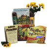 Gift Basket Village Healthy Living Chocolates Basket