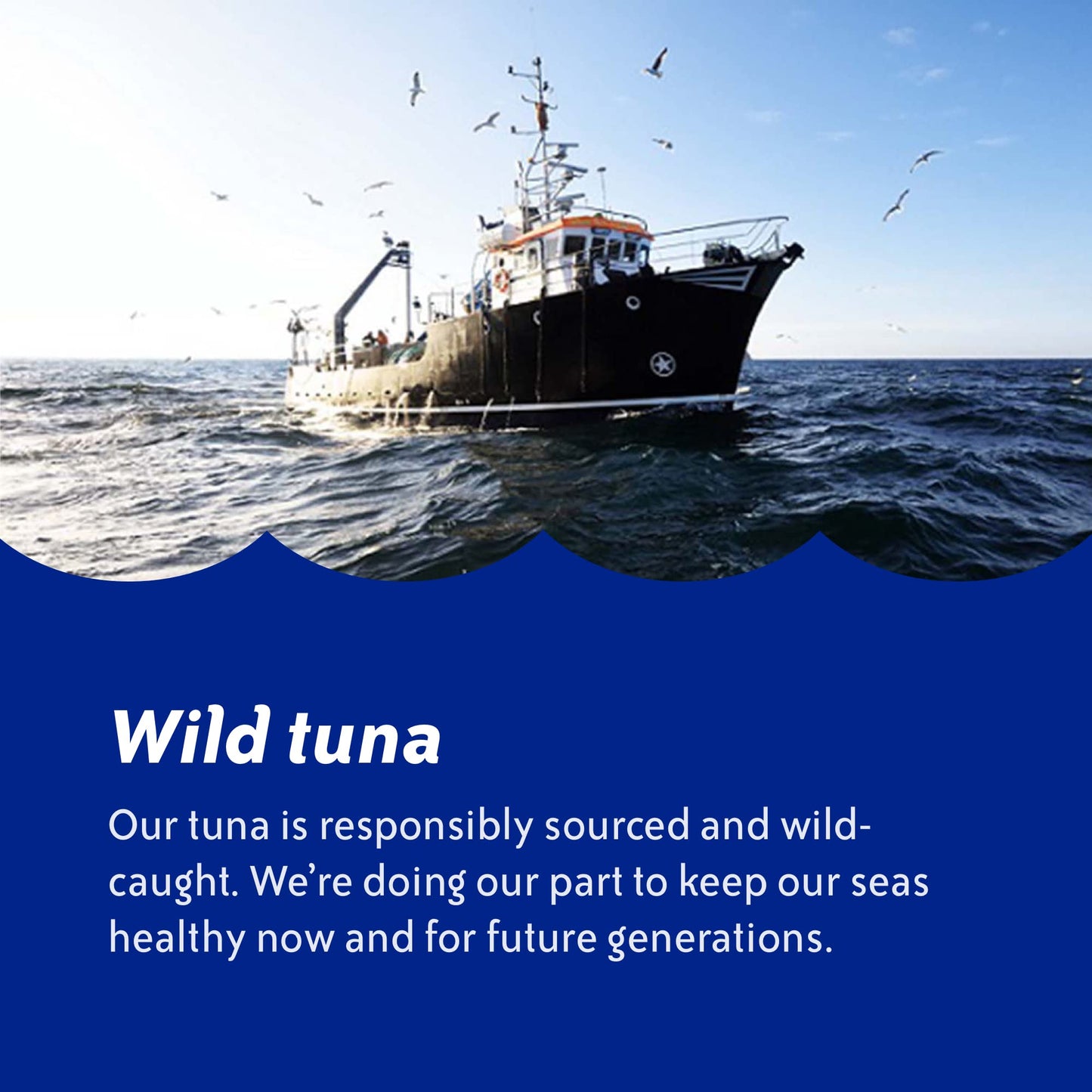 Chicken of the Sea Chunk Light Tuna in Water, Wild Caught Tuna, 25% Less Sodium, 5-Ounce Cans (Pack of 24)