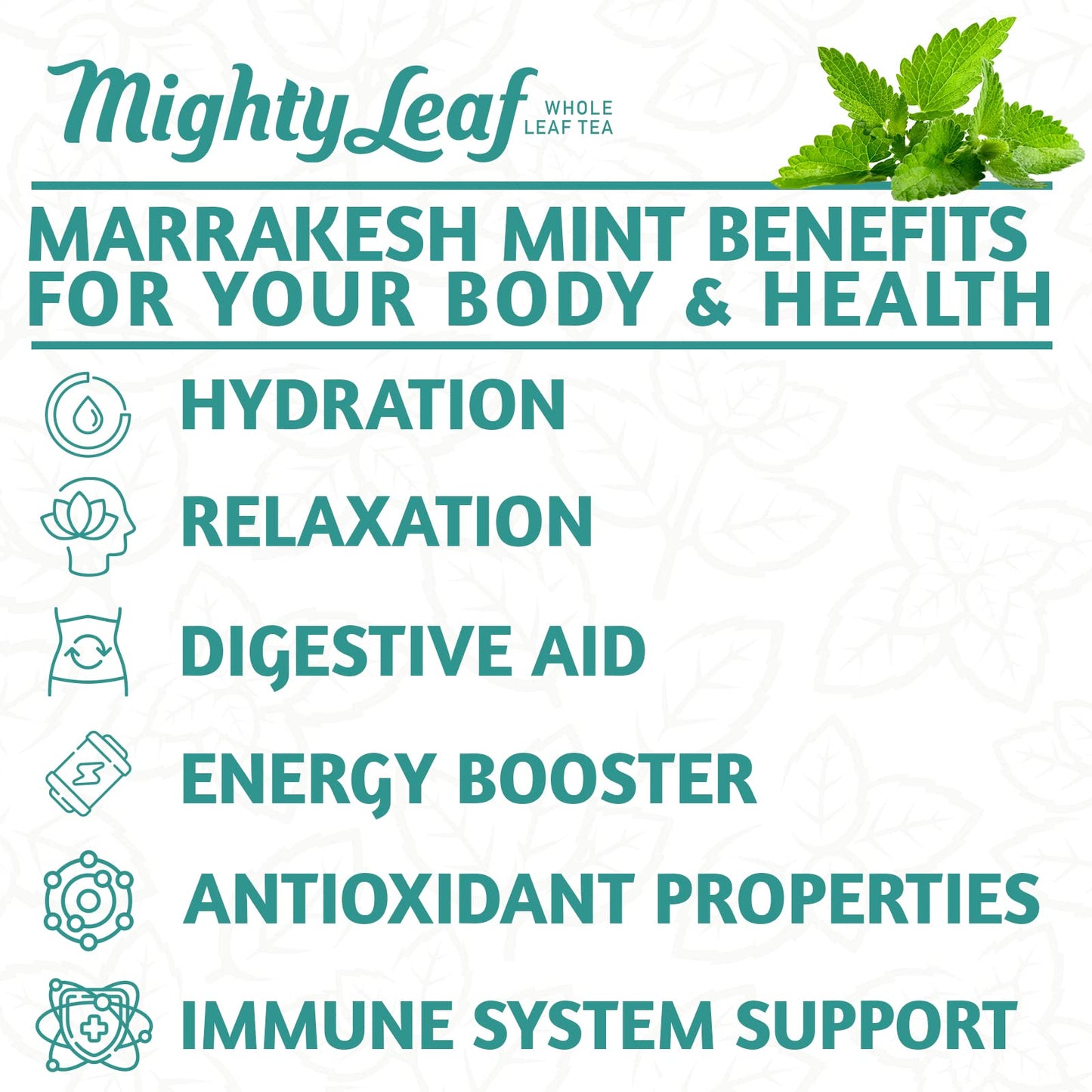 Mighty Leaf Tea Marrakesh Mint - 100 Foil Wrapped Tea Pouches - 100 Count