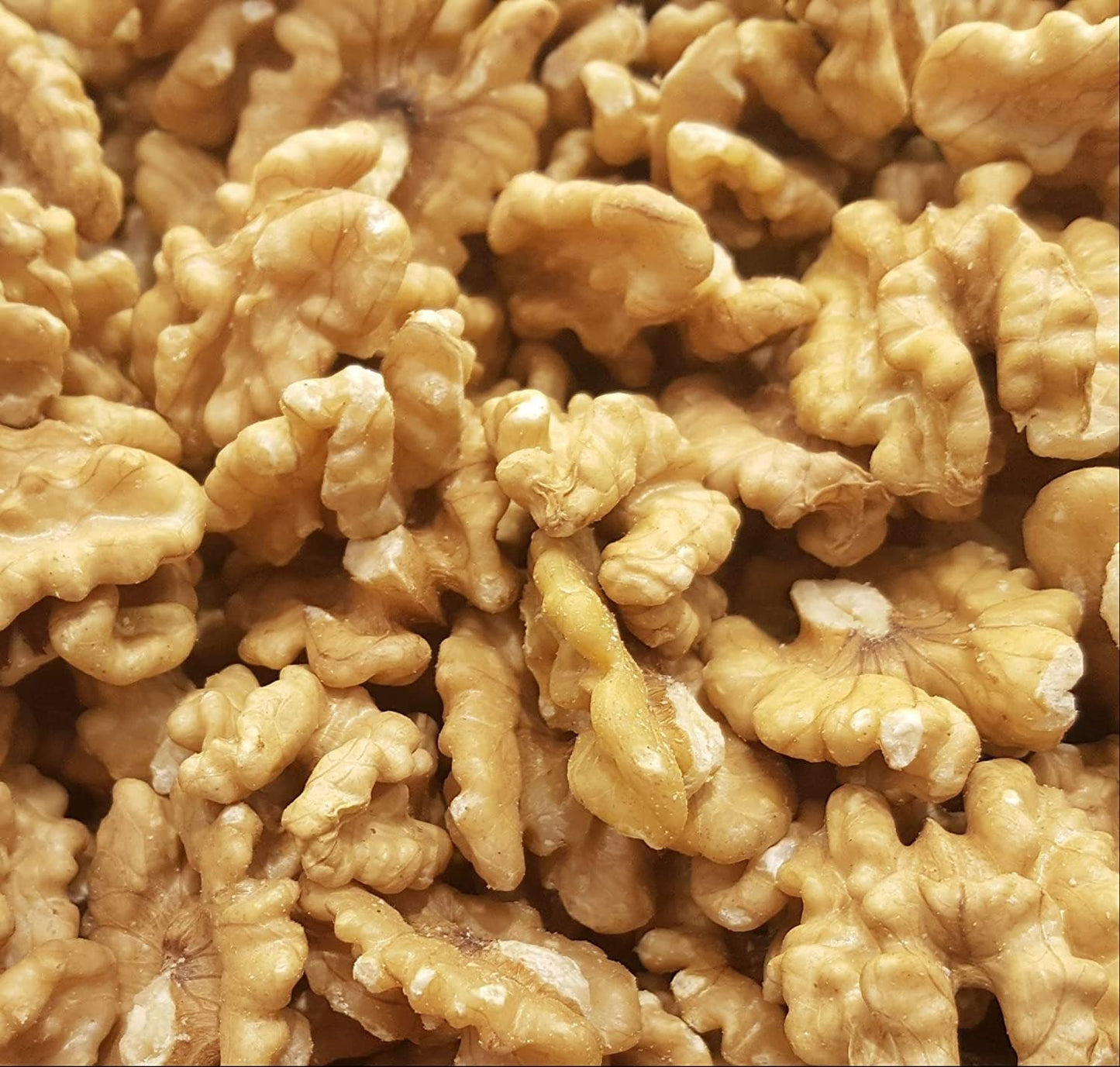 Roasted Salted Corn Nuts Snack with Sea Salt by Its Delish (1 lb)