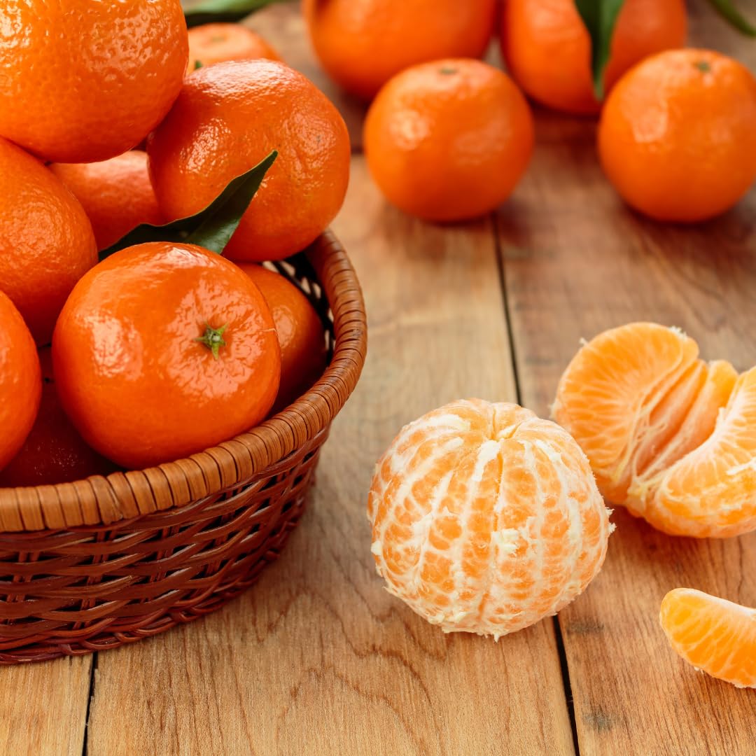 Capital City Fruit Fresh Clementines Gift Box | Gift for Holiday, Thank You, Get Well | Sympathy Gift Box | Sweet Fruit | Health